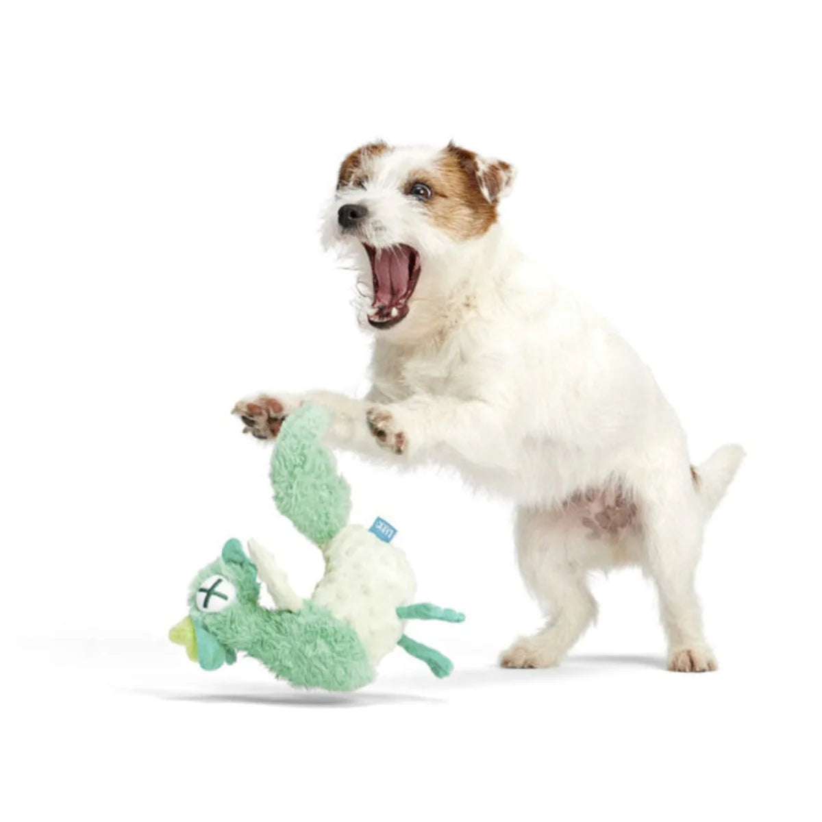 Poultrygeist Poultrygeist