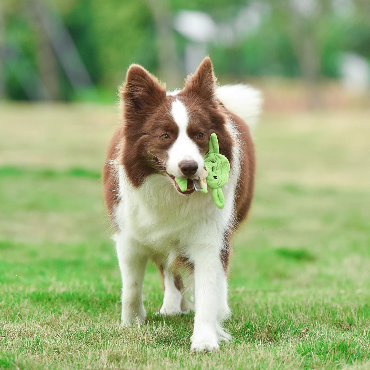 Dog Toy Yoda Plush Flattie Dog Toy - Officially Licensed - Small Soft Stuffingless Crinkle Chew Toys for All Dogs, 6 Inch