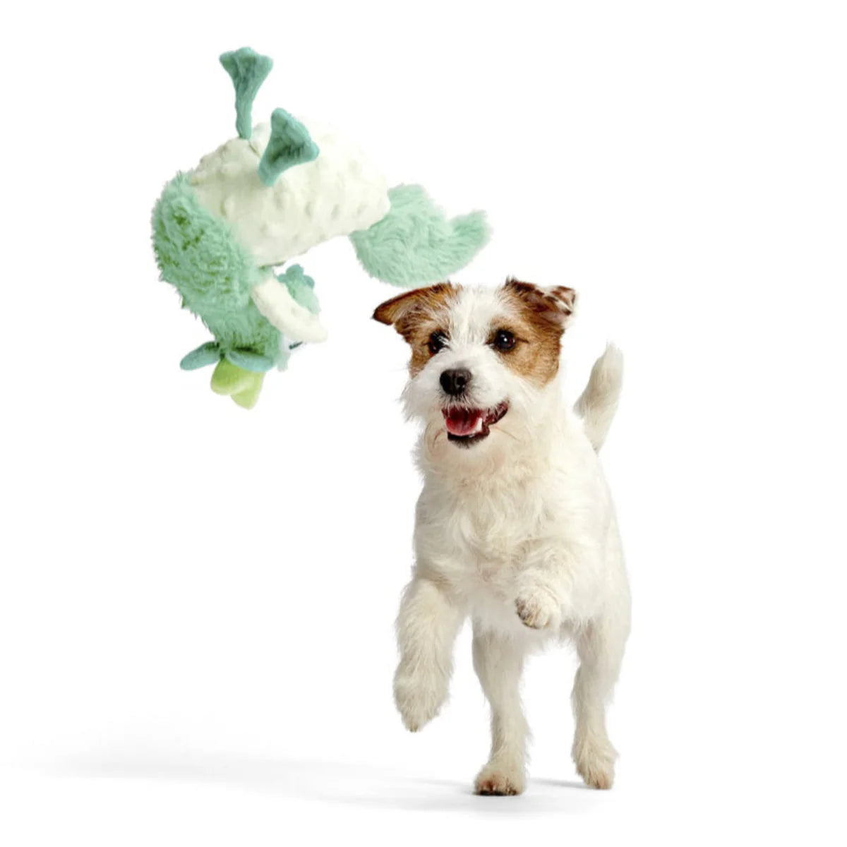 Poultrygeist Poultrygeist