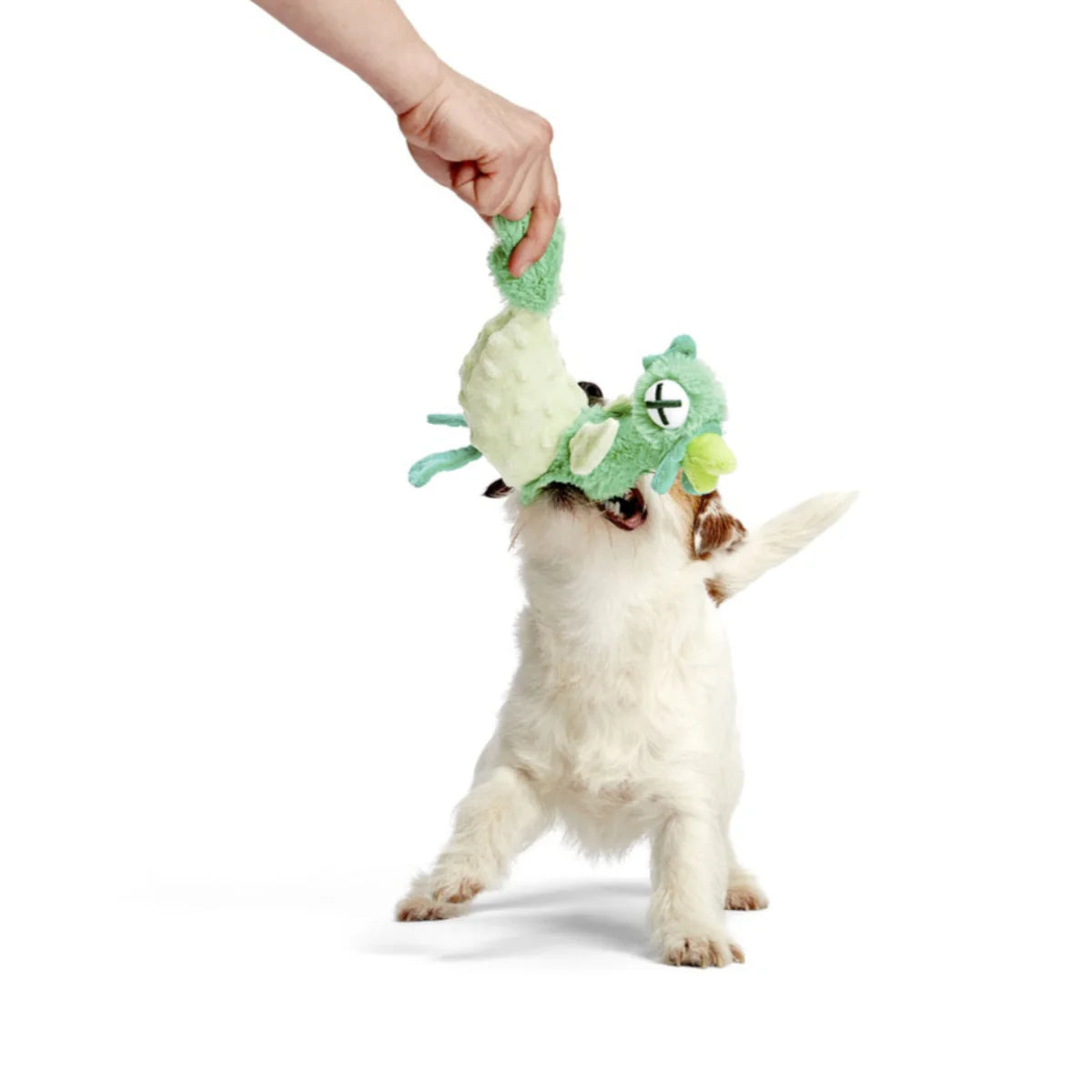 Poultrygeist Poultrygeist