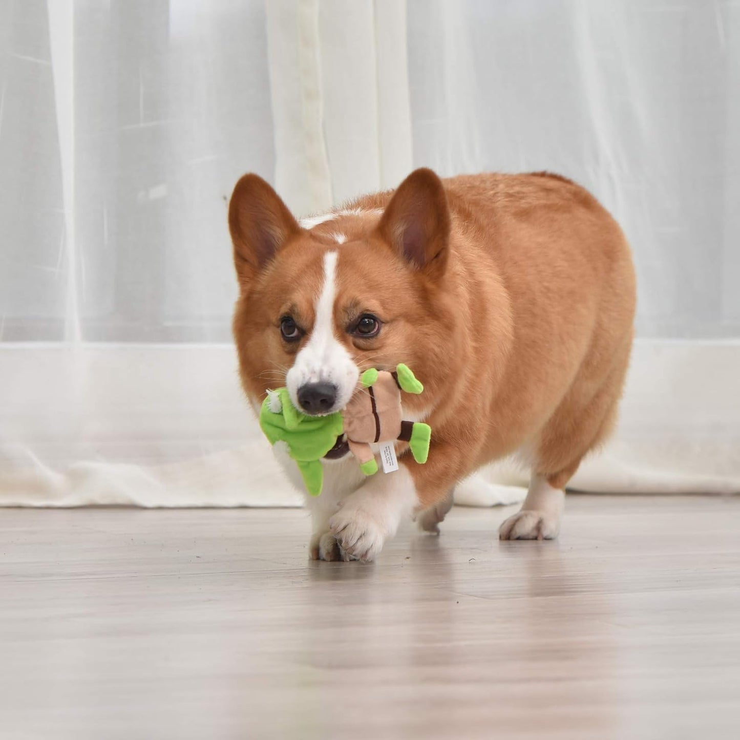 Dog Toy Yoda Plush Flattie Dog Toy - Officially Licensed - Small Soft Stuffingless Crinkle Chew Toys for All Dogs, 6 Inch